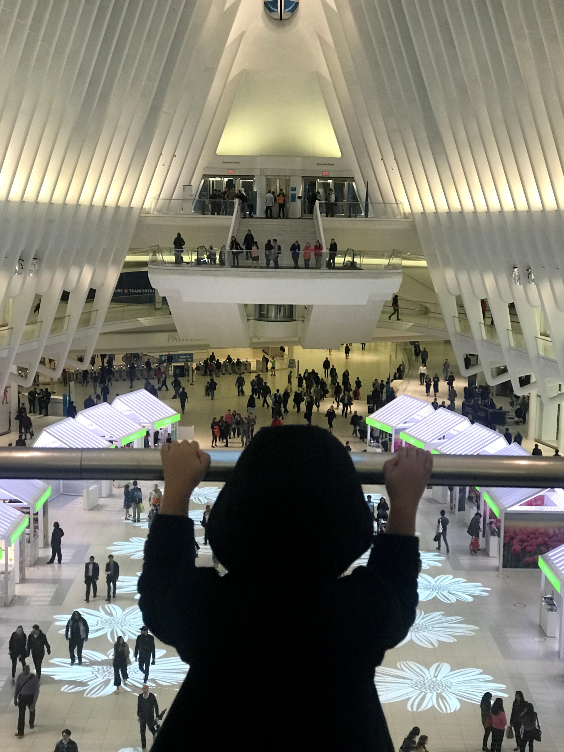 The Oculus